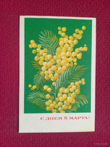 С Днем 8 Марта! Клопов 1970 г. Чистая.