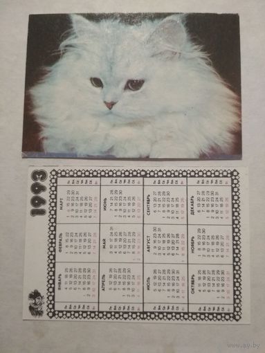 Карманный календарик. Котик.1993 год