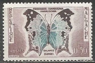 Республика Мадагаскар. Бабочка Саламис Дюпре. 1960г. Mi#447.