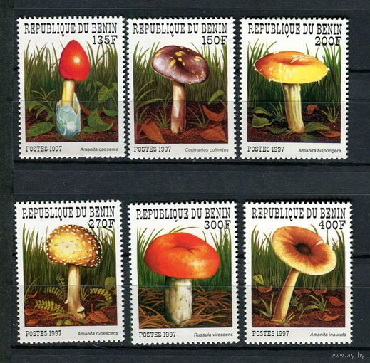 Бенин - 1997 - Грибы - [Mi. 989-994] - полная серия - 6 марок. MNH.