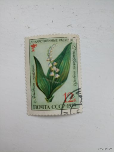 1973 год. Ландыш майский Convallaria majalis вид травянистых цветков Цветы.