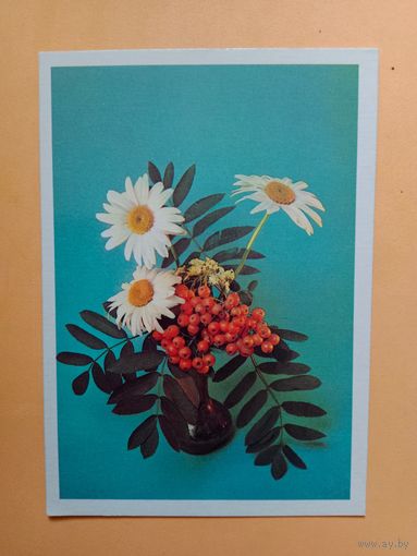Открытка 1983