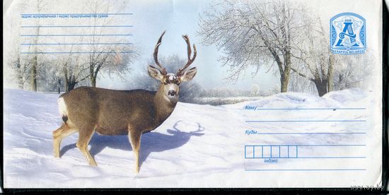 Беларусь 2008. ХМК. Конверт БК. Фауна. Косуля