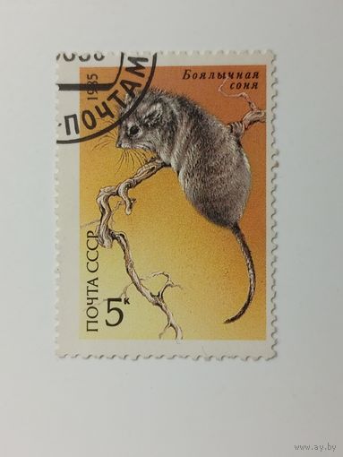 1985 СССР. Животные под защитой. Фауна. Боялычная соня