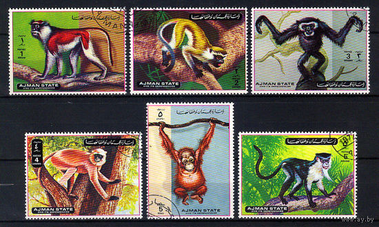 1972 ОАЭ. Аджман. Обезьяны
