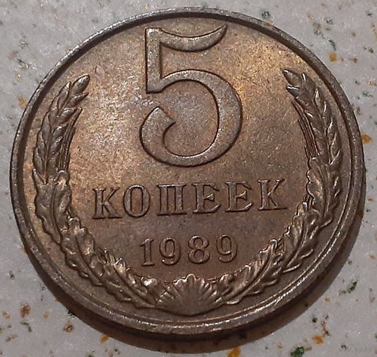 СССР 5 копеек, 1989 (10-3-19)