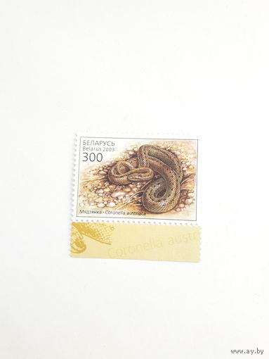 Марки Беларусь 2003 Пресмыкающие