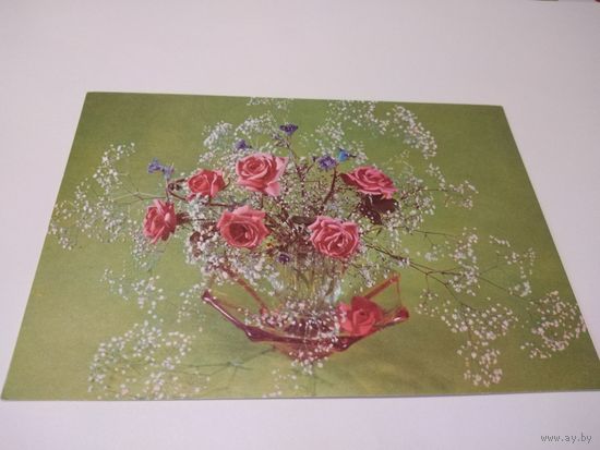 Открытка 1976г. Чистая. Фото Л. Садловской.