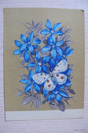 Колганов В., Цветы и бабочка; 1970, чистая, ДМПК.