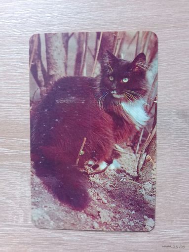 Календарик 1992