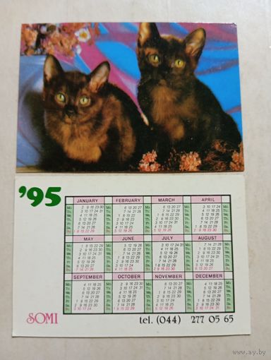Карманный календарик.Кошки.1995 год