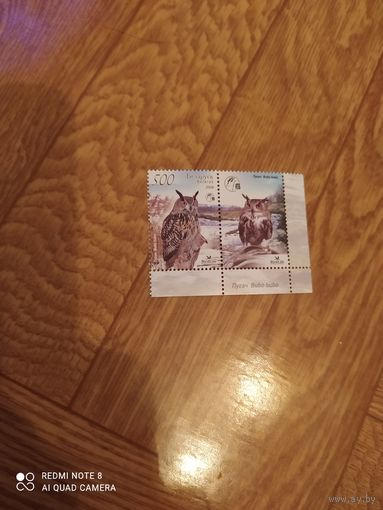 Беларусь марка с купоном 2008 г. Совы.