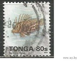Тонга. Рыба Крылатка-зебра. 1993г. Mi#1279.