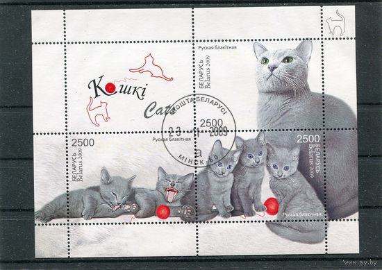 Беларусь 2009.. Коты. Блок
