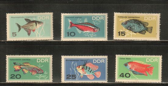 ГДР-1966(Мих.1221-1226) , ** , Фауна, Рыбы, (полная серия)