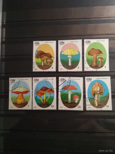 Куба 1988 г. Грибы. (Гашеная)