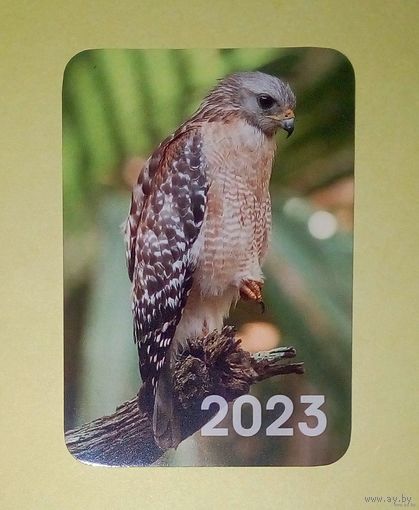 Календарик-2023