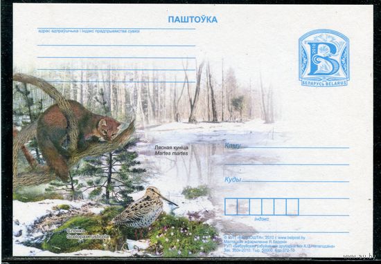 Беларусь 2010. ПК. Фауна. Куница