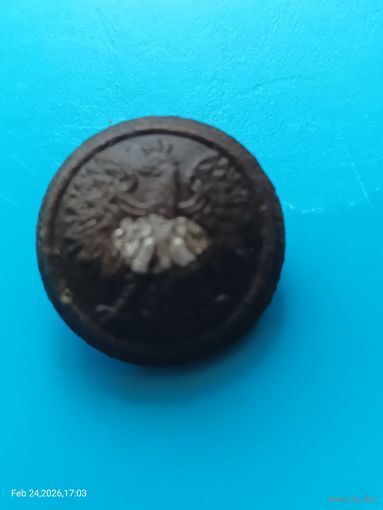 Пуговица польская