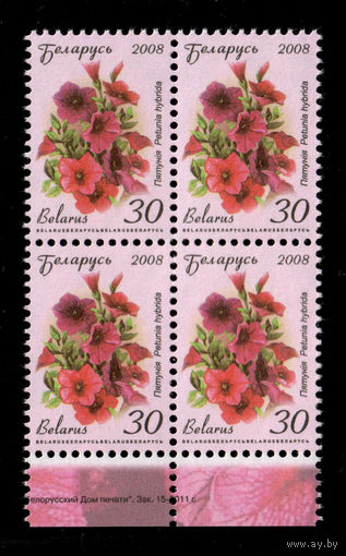 Беларусь. 2008. Стандарт.  Петуния (30р) (з.15-2011)
