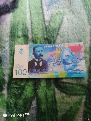 Антарктика 100