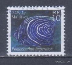 [206] Мальдивы 2001. Фауна.Рыбы. Гашеная марка.