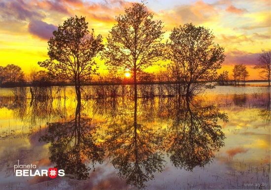 Планета Беларусь, река Припять, правый приток Днепра, 2019, тираж 1000 экз.