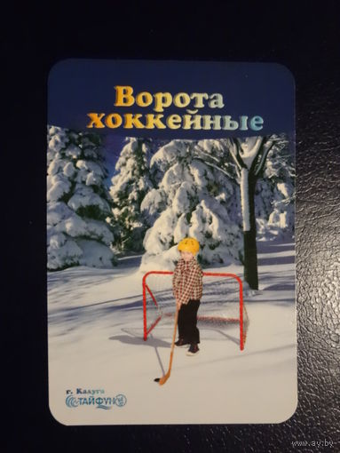 Календарик 2005 г. Ворота хоккейные.