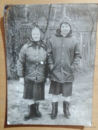 Фото в коллекцию