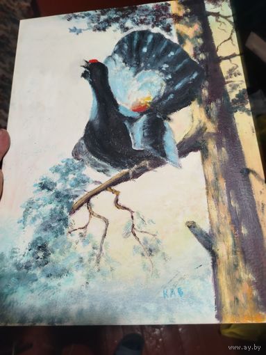 Глухарь, тетерев.