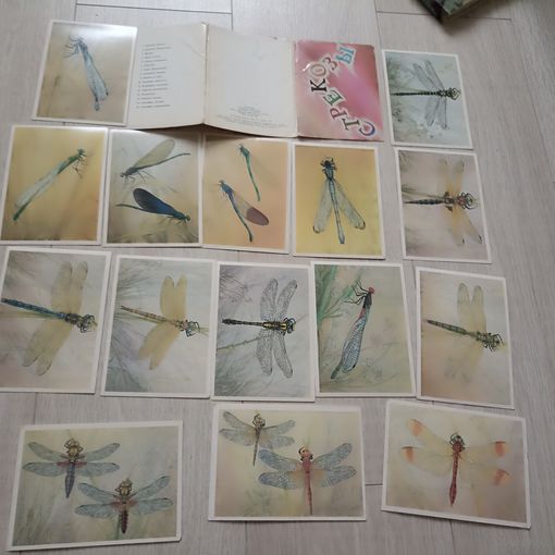 Стрекозы. худ. Аристов. Насекомые. Фауна. Природа. Комплект. Набор 15 из 16 шт.