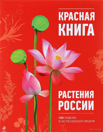Красная книга. Растения России. 100 редких и исчезающих видов. Иллюстрированная подарочная энциклопедия. Оксана Скалдина ///