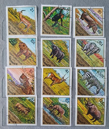 Гвинея африканские животные 12шт