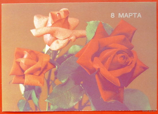 8 Марта! Чистая.  1989 года. Круцко. 158.