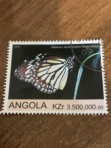 Ангола 2000. Бабочки. Danaus melanippus hegesippu. Марка из серии