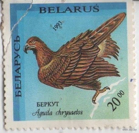 Беларусь, беркут