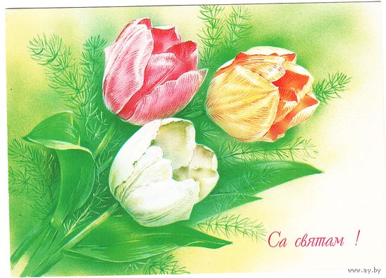 Беларусь. Маркированная почтовая карточка 1994 Худ. М. Абрамчук