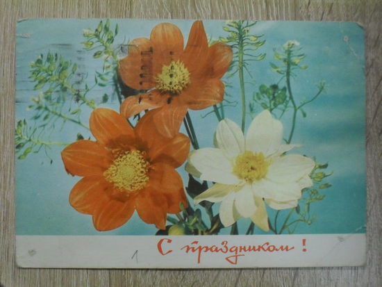 ПОДПИСАННАЯ ОТКРЫТКА СССР. ПРОШЕДШАЯ ПОЧТУ. "С ПРАЗДНИКОМ!" ФОТО. И. ДЕРГИЛЕВА 1969 год