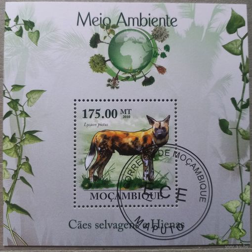 Мозамбик. 2010г. Фауна.