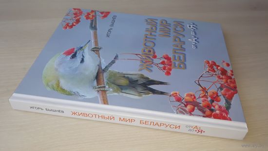 Животный мир Беларуси - от А до Я - Игорь Бышнёв - мелованная бумага, большой формат, шикарные иллюстрации, подарочный вариант