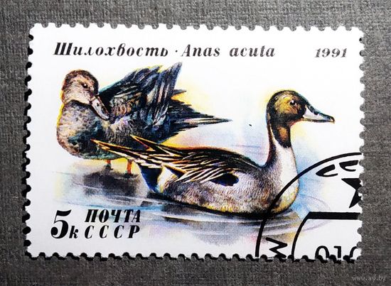 Марка СССР 1991 год Утки