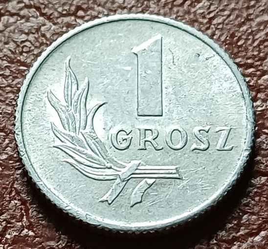 Польша 1 грош, 1949     ( 1-2-5 )