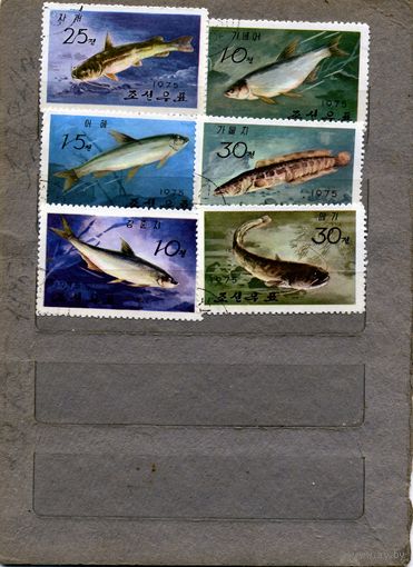 КНДР, 1975,  РЫБЫ,     серия 6м  гашен
