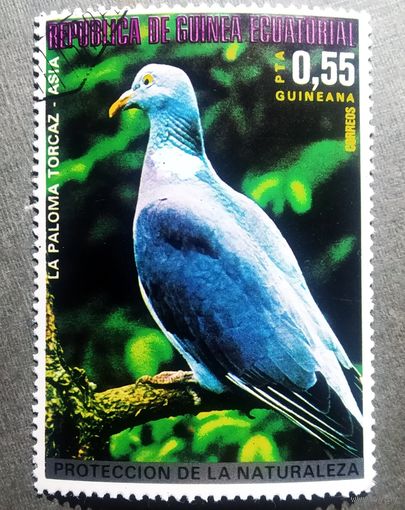 Марка Экваториальная Гвинея 1976 год Птицы