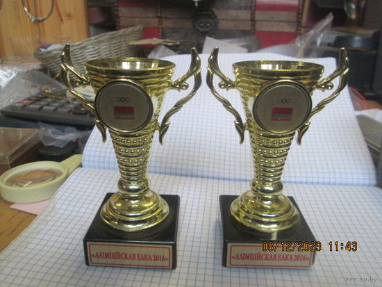 Кубок Алiмпiйская ёлка 2016.