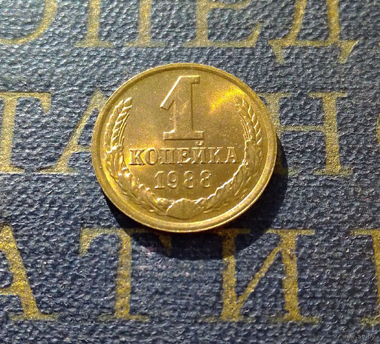 1 копейка 1988 СССР #14