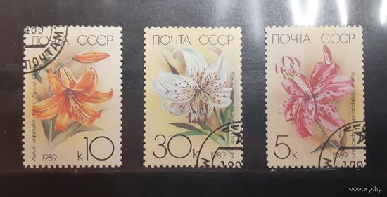 СССР. 1989 год. Флора. Цветы. Лилии (235)