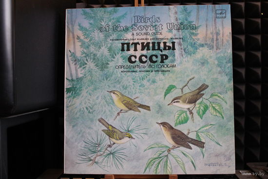 Птицы СССР - Воробьиные: Пеночки И Пересмешники (1987, Vinyl)