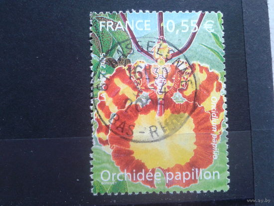 Франция, 2005. Орхидея