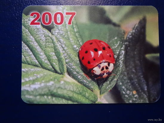 Календарик 2007 г.  Борисовская укрупненная типография. Божья коровка.